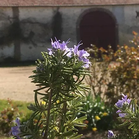Prázdninový dům De La Ferme Des Haies